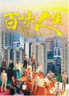 雾港谜案剧集封面